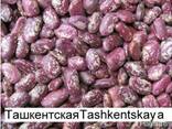 3D фасоль высокого качества из Киргизии - photo 1