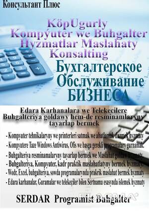 Ahli gornusli Kompyuter we Buhgalter Hyzmatlar maslahaty Konsalting, Бухгалтерское Обслуж