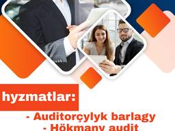 Anyk audit - hyzmaty