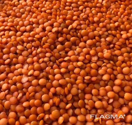 Чечевичная Крупа (шлифованная)