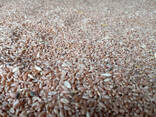 Feed Barley, origin Republic of Kazakhstan, crop 2021 - фото 3