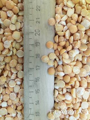 Горох колотый шлифованный FCA