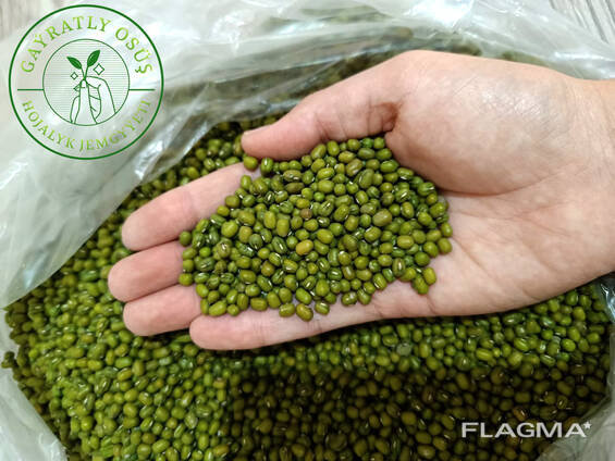 Green Mungbean
