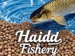 Haida Fishery - photo 1