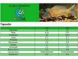 Haida Fishery - фото 3