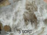 Хлопковое волокно - photo 2