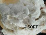 Хлопковое волокно - photo 3