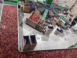 Интенсивные сады под ключ - европейская технология - photo 2