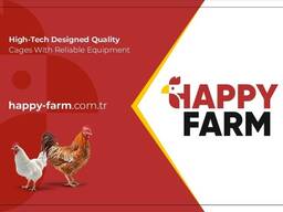 Клетка для родительского стада кур