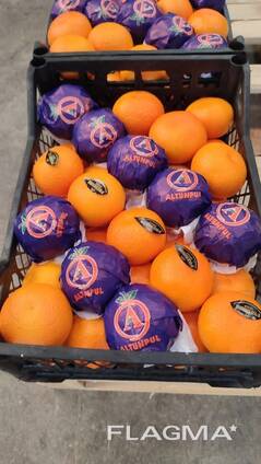 Мандарин Satsuma