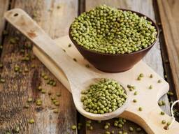 Маш продовольственный