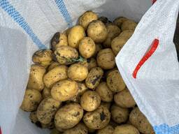 Мешки для овощей