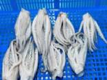 Мороженная рыба и морепродукты в Туркменистан от производителя из КНР - фото 2