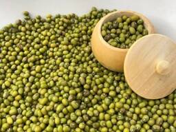 Mung bean