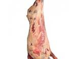 Мясо говядина на кости Бык/Корова - фото 1