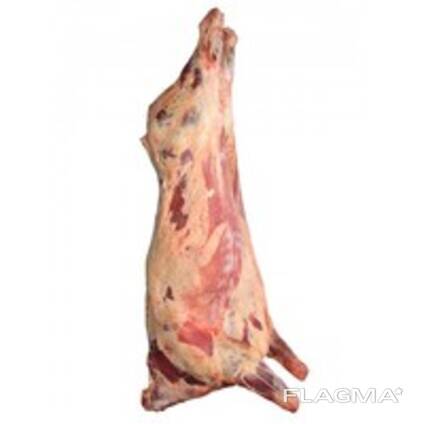 Мясо говядина на кости Бык/Корова