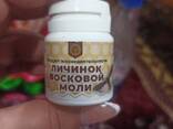 Настойка из восковой моли 0,5 л - фото 2
