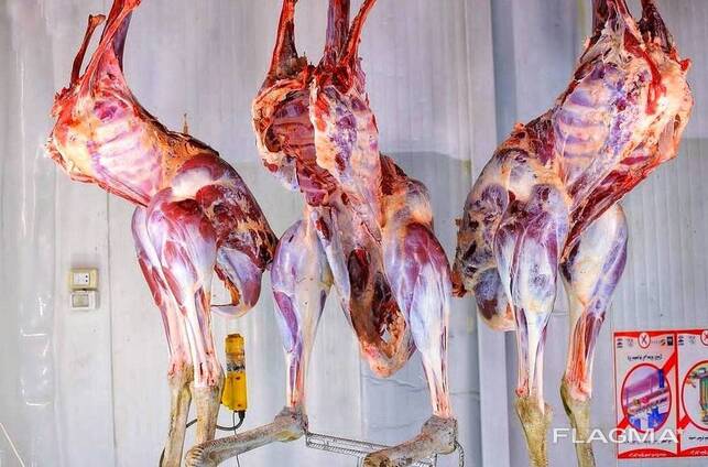 Ostrich meat