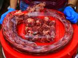 Ostrich meat - photo 6