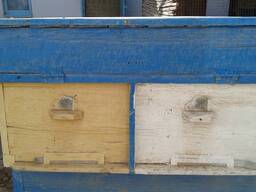 Пчелиный домик