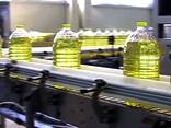 Подсолнечное масло - фото 1