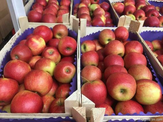 Польское яблоко от производителя La-Sad