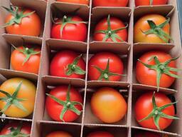 Помидоры из Туркменистана