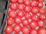 Помидоры из Туркменистана - фото 2