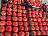 Помидоры из Туркменистана - photo 6