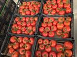Помидоры из Туркменистана - photo 1