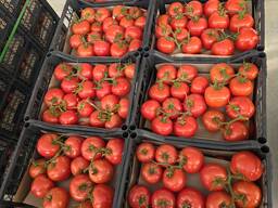 Помидоры из Туркменистана