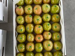 Помидоры томат