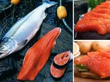 Рыба и Море продукты - photo 1