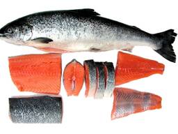 Рыба и Море продукты