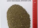 Шрот рапсовый (42% протеин на АСВ) ж/д-доставка - photo 2