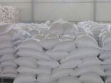 Sugar icumsa 45 and beet available - photo 2