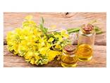 Wholesale Refined Rapeseed Oil | Refined Canola Oil | Certified Organic - фото 2