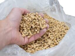 Wood Pellet