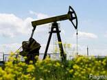 Покупаем нефть, мазут, битум, диз. топливо из Туркменистана на экспорт! Постоянно! - фото 1