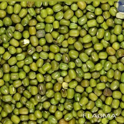 Зелёный Маш