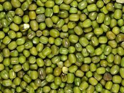 Зелёный Маш