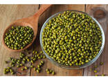 Green Mung bean from Uzbekistan - photo 2
